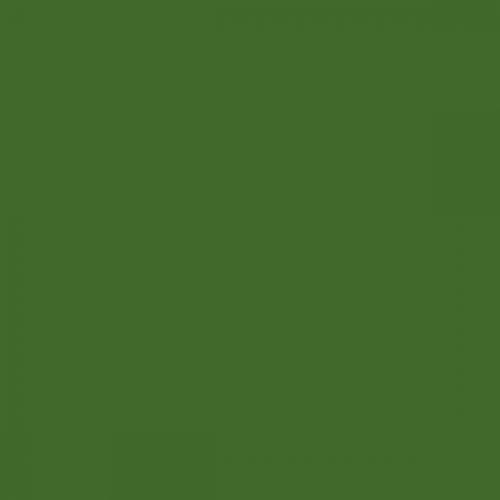 British Standard BS 381C 225 Light Brunswick Green – The Aerosol Expert