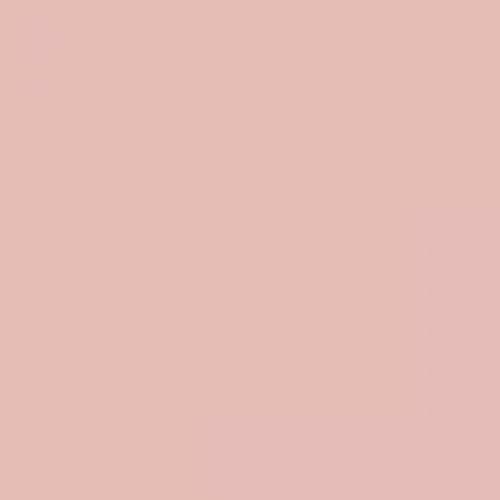 British Standard BS 4800 04-C-33 Parisian Pink – The Aerosol Expert