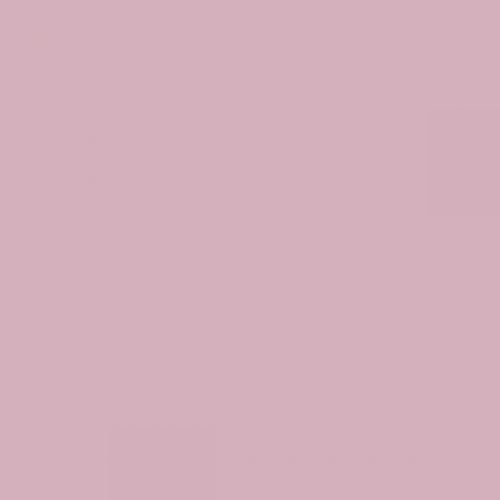 British Standard BS 4800 24-C-35 Pink – The Aerosol Expert